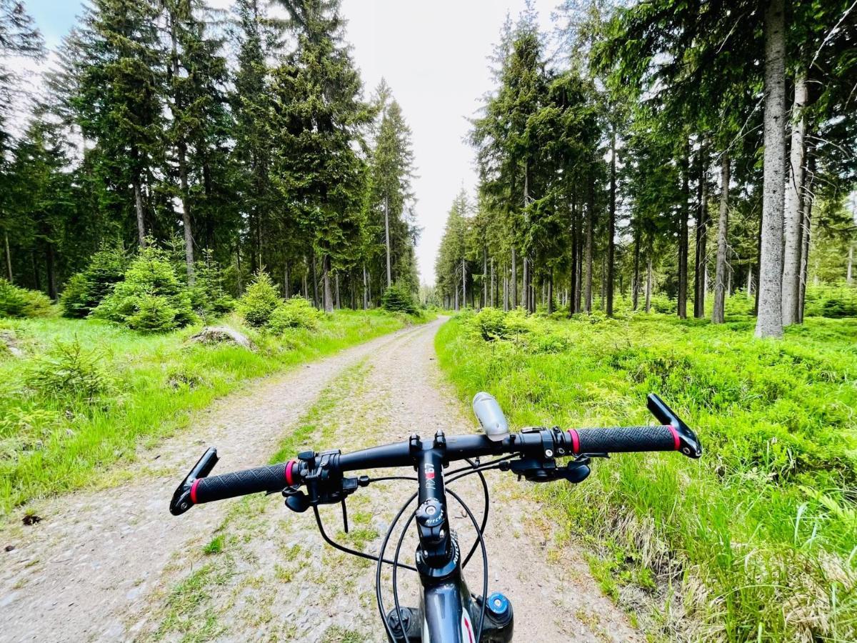 Apartman Ela Horní Blatná Buitenkant foto